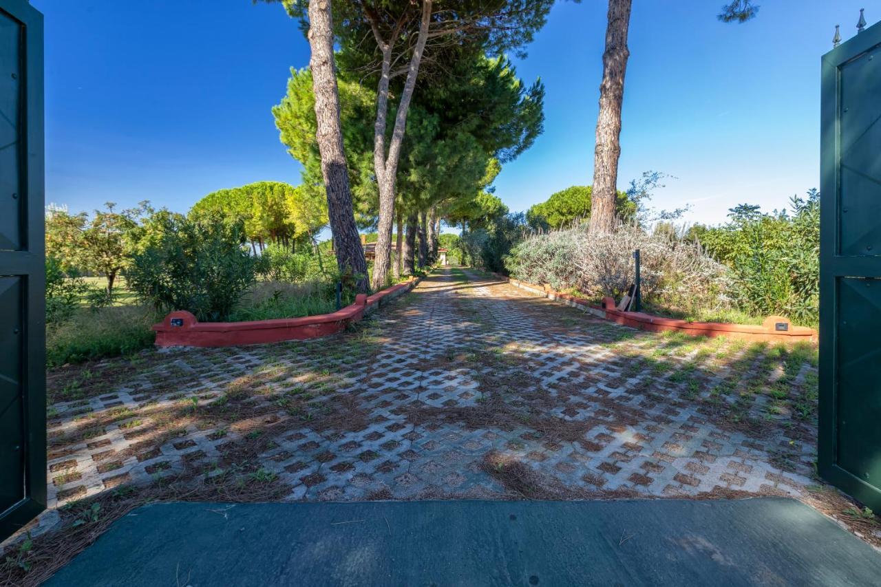 Girasoli Con Piscina Privata E A 2km Dalla Villa *