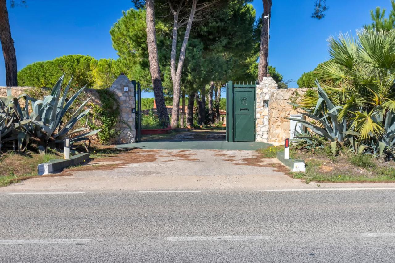 Girasoli Con Piscina Privata E A 2km Dalla Alghero