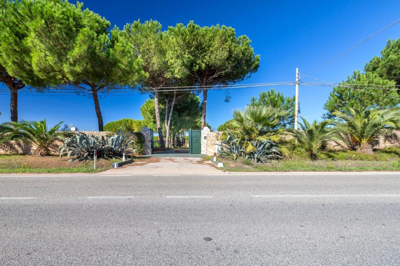 Girasoli Con Piscina Privata E A 2km Dalla Villa *